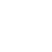 Pesos Icon